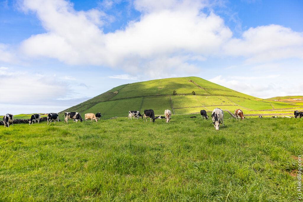 Terceira in the Azores: What to See, Eat & Experience