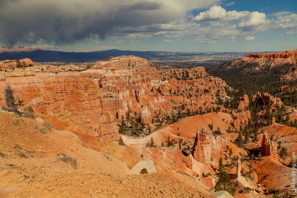 Bryce Canyon Wonders